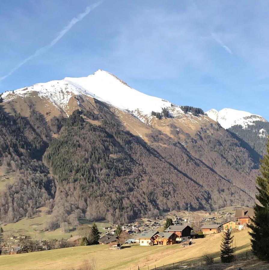 Chalet La Merlerie Morzine Kültér fotó