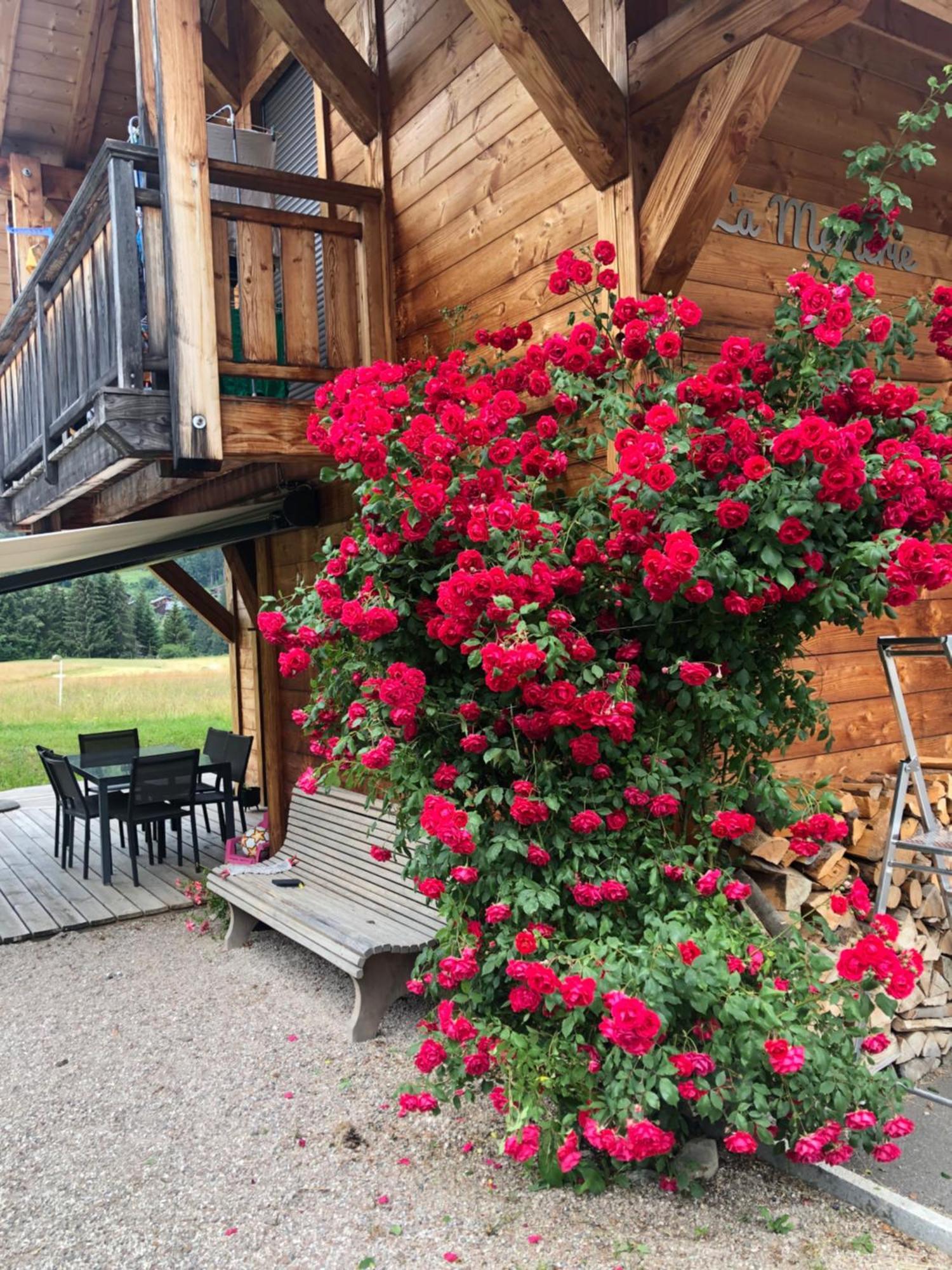 Chalet La Merlerie Morzine Kültér fotó