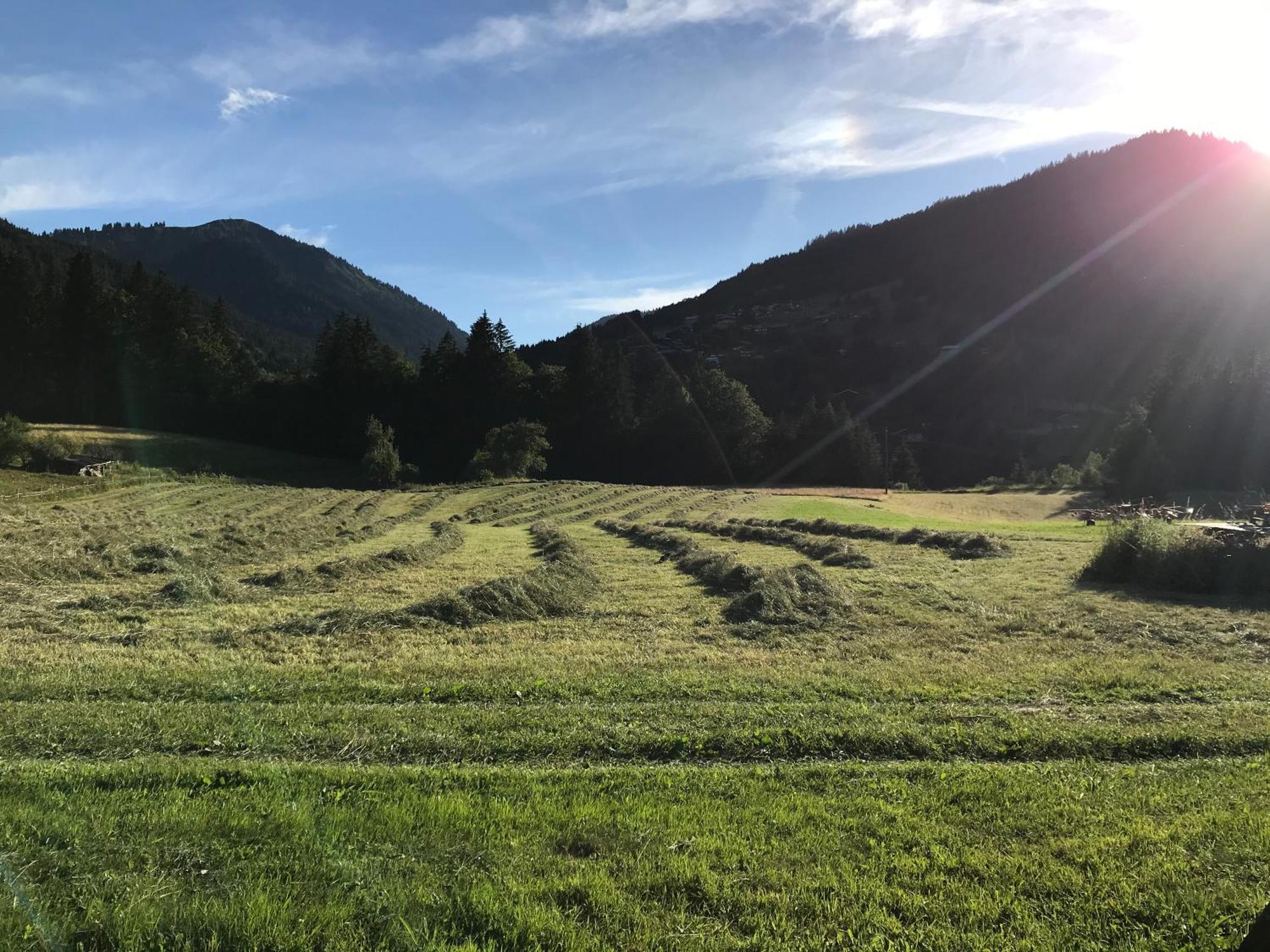 Chalet La Merlerie Morzine Kültér fotó