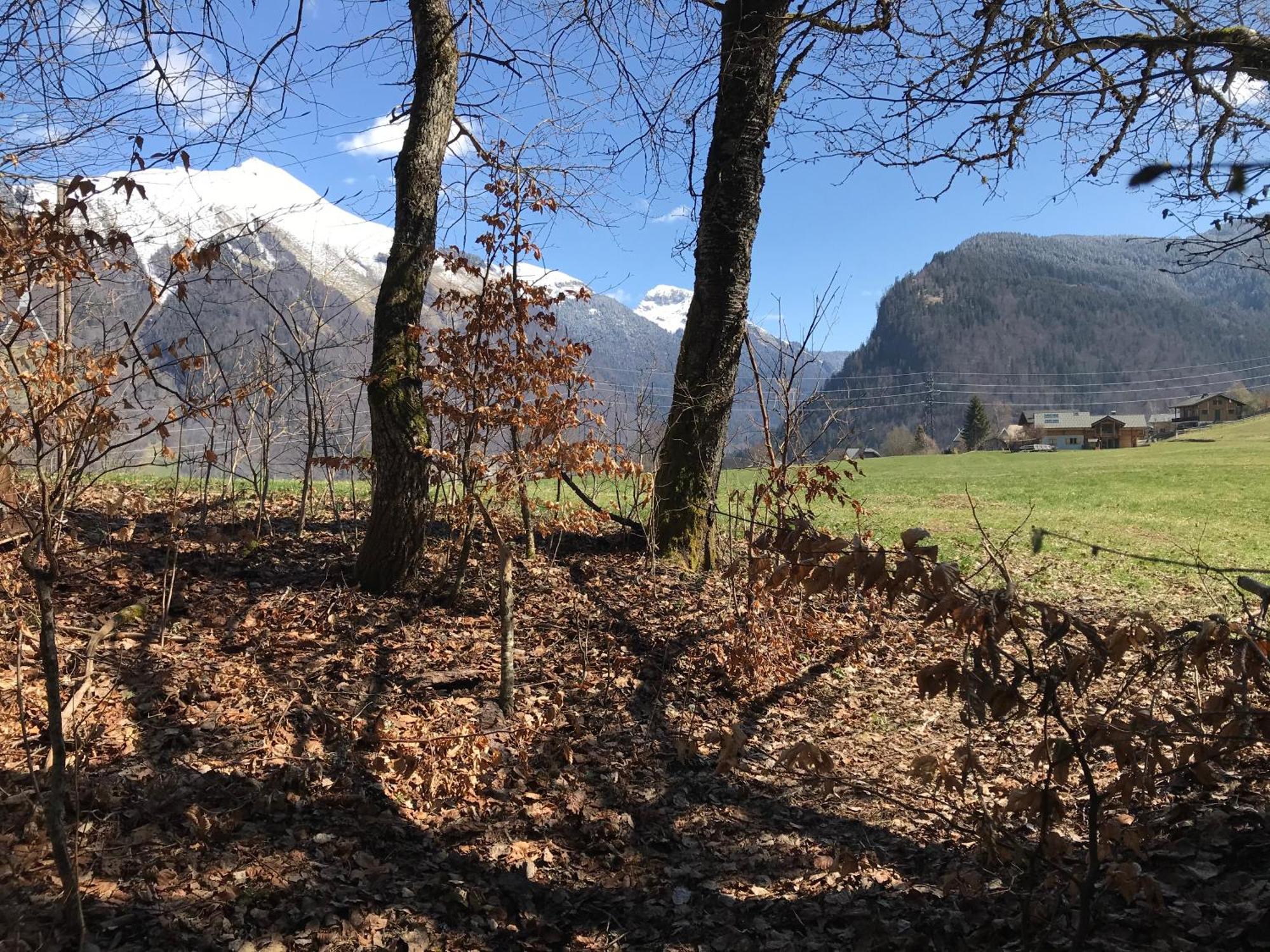 Chalet La Merlerie Morzine Kültér fotó