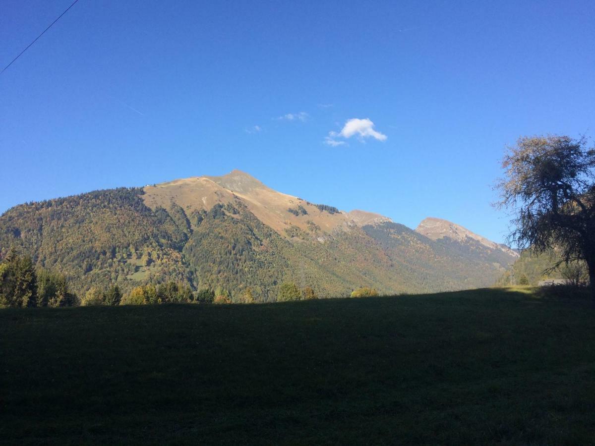 Chalet La Merlerie Morzine Kültér fotó